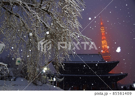 雪の中の増上寺と東京タワー 雪の中の増上寺と東京タワー 85561409