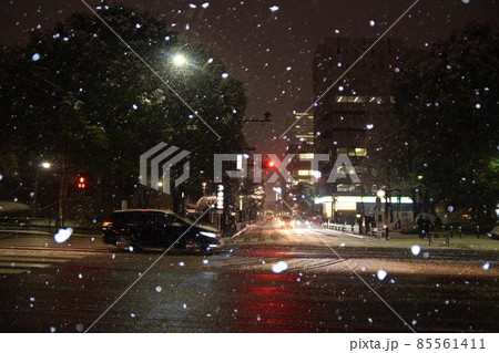 牡丹雪の舞う都心の道路 牡丹雪の舞う都心の道路 85561411