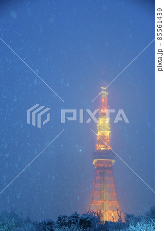 牡丹雪の舞う東京タワー 牡丹雪の舞う東京タワー 85561439