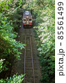 緑のトンネルを駆け抜けるいすみ鉄道のディーゼルカー 85561499