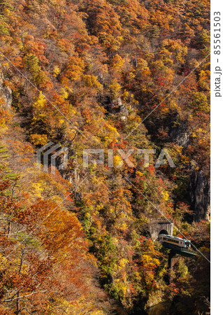 岩手県の紅葉の名所を走る陸羽東線 85561503