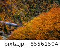 秋田の紅葉を走り抜けるE6系秋田新幹線 85561504