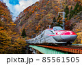 紅葉と紅葉の間を走り抜ける秋田新幹線 85561505