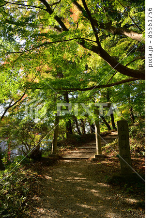 香取神宮内の護国神社参道 85561756