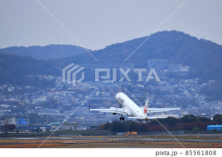 大阪国際空港 JAL 飛行機 離陸 スカイパーク 大阪国際空港 JAL 飛行機 離陸 スカイパーク 85561808