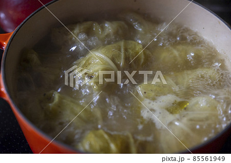 ロールキャベツを煮込む 85561949