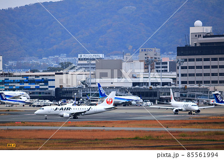 大阪国際空港 全景 スカイパーク 大阪国際空港 全景 スカイパーク 85561994