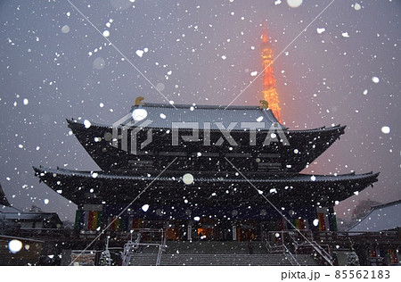 雪の中の増上寺と東京タワー 雪の中の増上寺と東京タワー 85562183