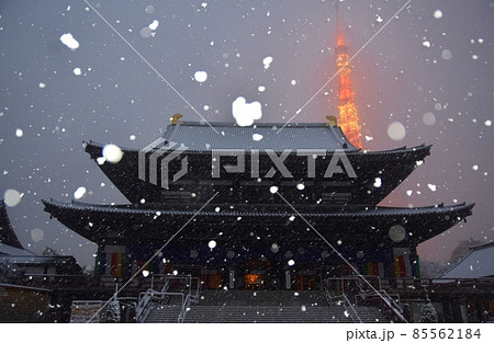 雪の中の増上寺と東京タワー 85562184