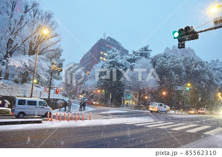 牡丹雪の降る東京タワー前交差点 85562310