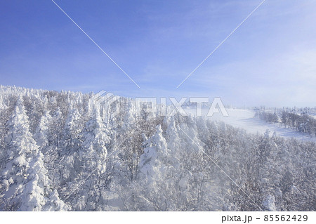 ユートピアゲレンデ 樹氷 霧氷 蔵王 ユートピアゲレンデ 樹氷 霧氷 蔵王 85562429