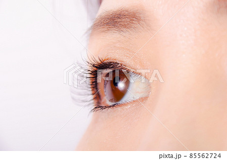 女性の目元のクローズアップ 85562724