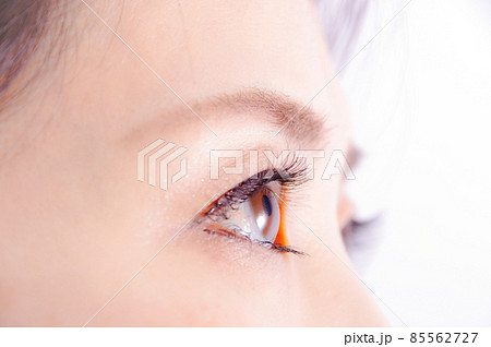 女性の目元のクローズアップ 85562727