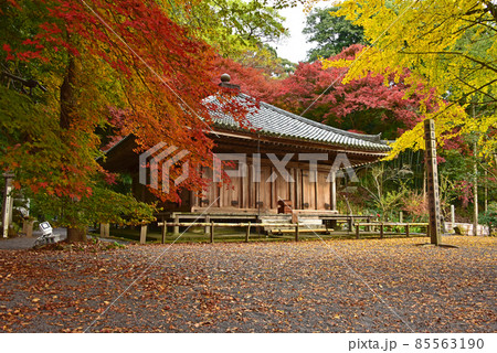 大分県 国東半島 富貴寺の紅葉 大分県 国東半島 富貴寺の紅葉 85563190