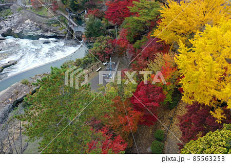 東洋のナイヤガラ曽木の滝公園の紅葉群の空撮 東洋のナイヤガラ曽木の滝公園の紅葉群の空撮 85563253