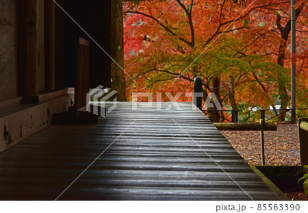 大分県 国東半島 富貴寺の紅葉 大分県 国東半島 富貴寺の紅葉 85563390