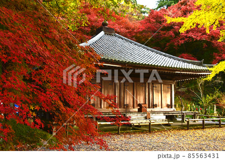 大分県 国東半島 富貴寺の紅葉 大分県 国東半島 富貴寺の紅葉 85563431