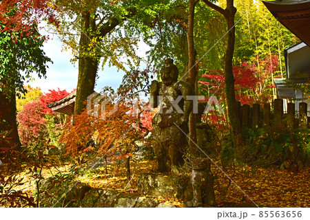 大分県 国東半島 長安寺の紅葉 大分県 国東半島 長安寺の紅葉 85563656