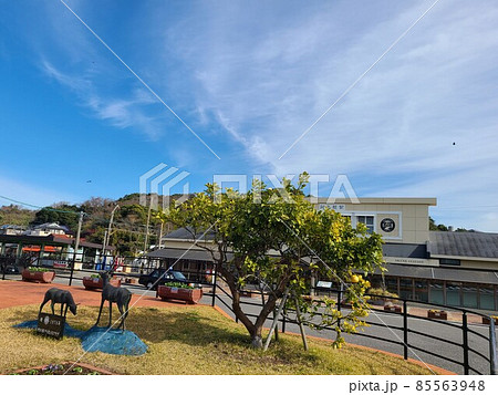 美しい阿久根駅 肥薩おれんじ鉄道 阿久根市 鹿児島県 美しい阿久根駅 肥薩おれんじ鉄道 阿久根市 鹿児島県 85563948