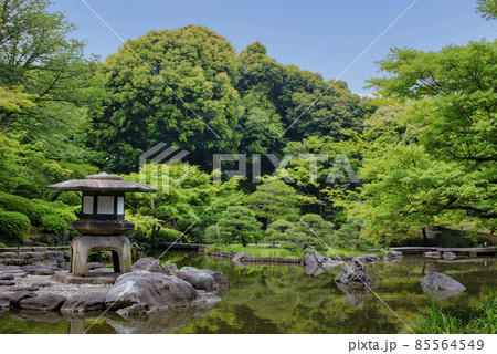 東京都　旧古河庭園　心字池　国の名勝 85564549