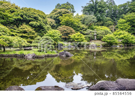 東京都　旧古河庭園　心字池　国の名勝 85564556