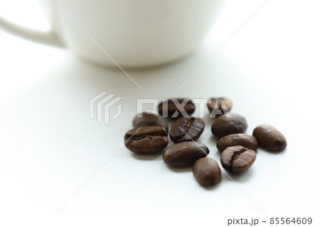 コーヒー豆 コーヒー豆 85564609