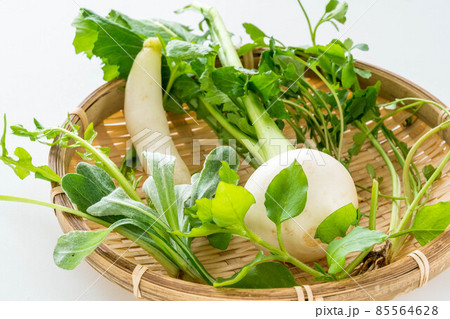 春の七草 85564628
