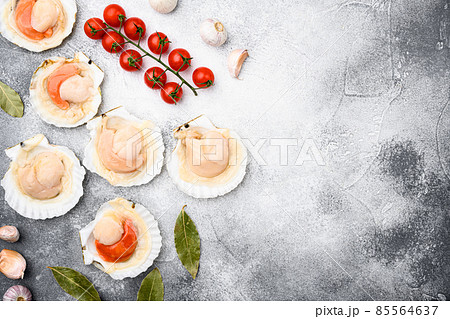 Seafood organic scallops, on gray stone table background, top view flat lay, with copy space for text 85564637
