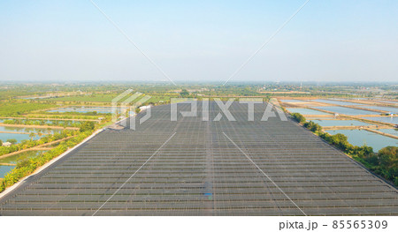 Aerial top view of roof of garden plant industry farm in agriculture concept with paddy rice field. Hydroponic natural food. Crops. Nature landscape background. 85565309