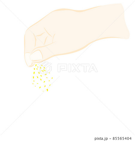 味付けをする調理イラスト 85565404