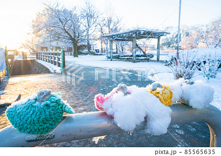 雪の綾南公園 雪の綾南公園 85565635
