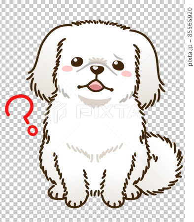 疑問があるペキニーズ 白 のイラスト素材
