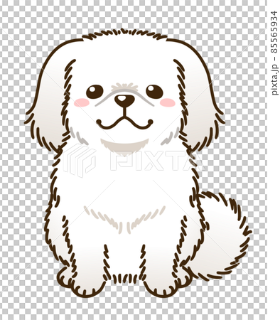 北京犬(白) 北京犬(白) 85565934