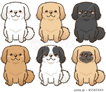 ペキニーズ書籍4冊セット 本 洋書 写真 pekingese PEKINGESE Pekingese with various coat colors - Stock Illustration