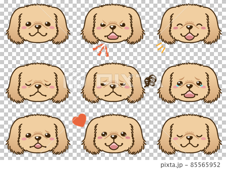 Pekingese (紅色) 面部表情臉圖標 85565952