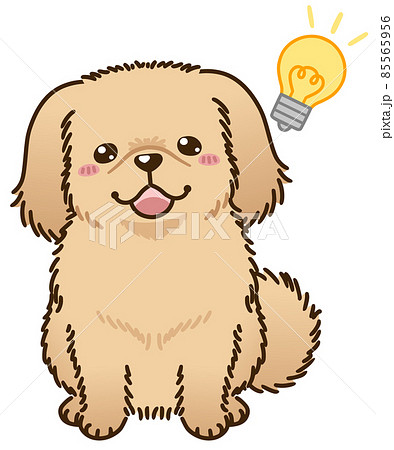 思い付くペキニーズ(レッド系) 思い付くペキニーズ(レッド系) 85565956