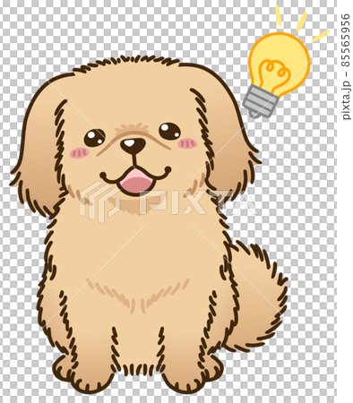 思い付くペキニーズ(レッド系) 思い付くペキニーズ(レッド系) 85565956