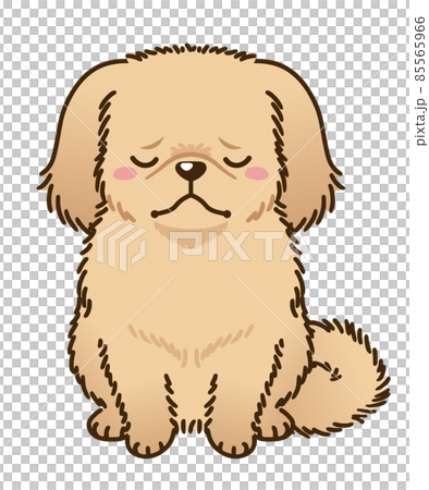 Depressed Pekingese (red) Depressed Pekingese (red) 85565966