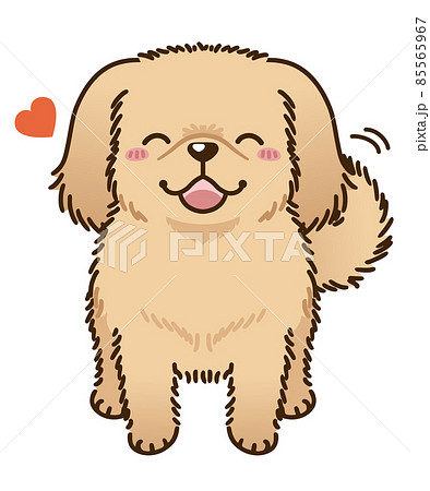 なつくペキニーズ（レッド系） 85565967