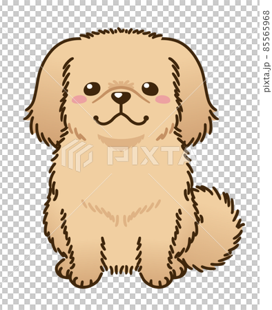 Pekingese (red) 85565968