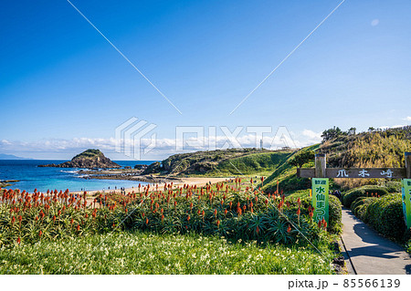 冬の爪木崎 85566139