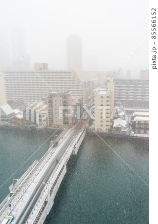 東京都中央区の晴海/勝どきエリアの雪景色 東京都中央区の晴海/勝どきエリアの雪景色 85566152