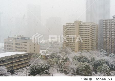 東京都中央区晴海地区の雪景色 85566153