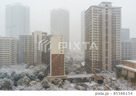 東京都中央区晴海地区の雪景色 85566154