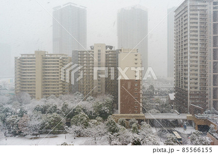 東京都中央区晴海地区の雪景色 東京都中央区晴海地区の雪景色 85566155