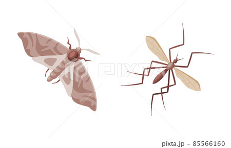 Pest Control and Parasite Extermination and Disinsection Service Vector Set 85566160