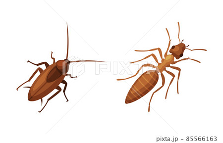 Pest Control and Parasite Extermination and Disinsection Service Vector Set 85566163