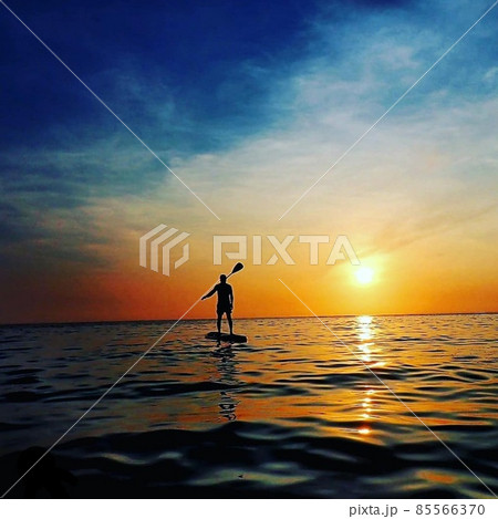 あそこでのサンセットサップ 85566370