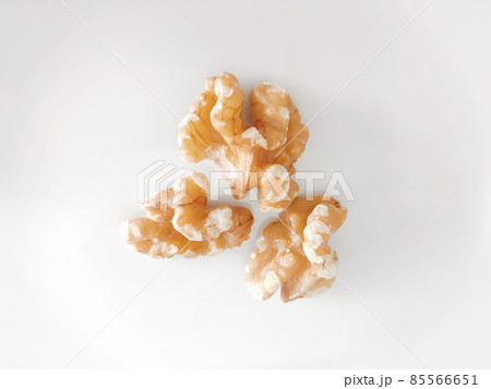 素焼きのクルミ 85566651