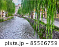 京都市東山区の白川に掛かる一本橋と柳並木の風景 85566759